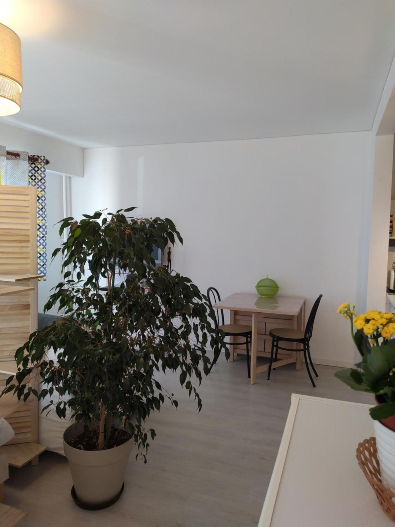 Grand Studio, Super Equipe, 2 Pas Du Centre-Ville "Clos-Du-Boulanger" - Parking Prive 몽벨리에 외부 사진